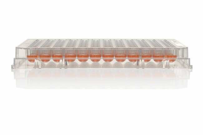 コニカ　エレクトロン Nalgene® 174929 96-Well Microplate, Ion Sphera-Treated, U-Shaped